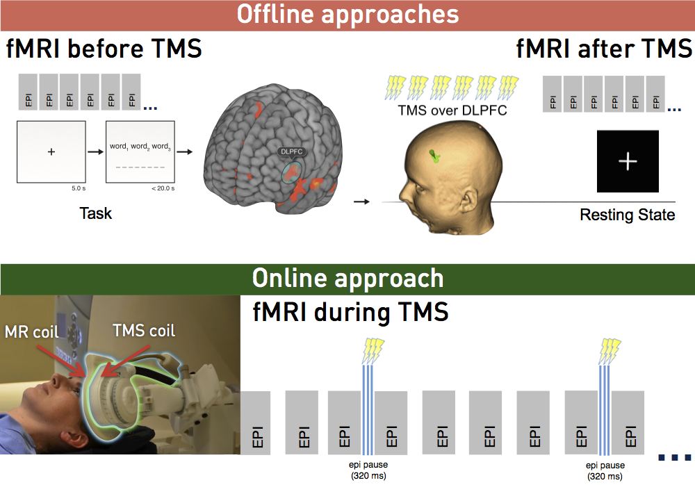 MRI can used to improve brain stimulation before, after and during TMS. TMS applied during fMRI allows for the investigation of immediate neural effects 